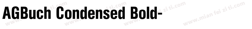 AGBuch Condensed Bold字体转换